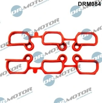 DRM084 Lizarte