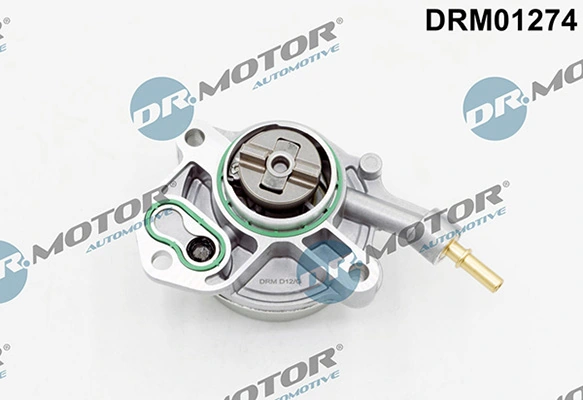 DRM01274 Lizarte