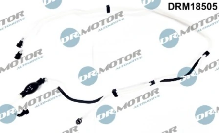 DRM18505 Lizarte