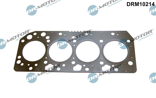 DRM10214 Lizarte