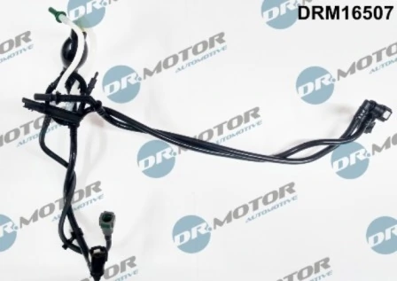 DRM16507 Lizarte