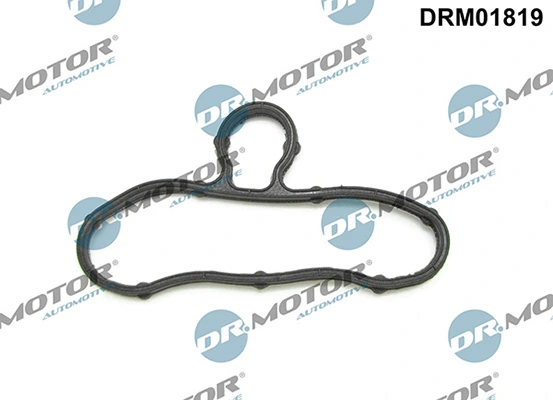 DRM01819 Lizarte