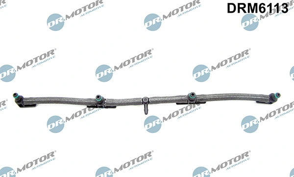 DRM6113 Lizarte