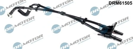 DRM61505 Lizarte
