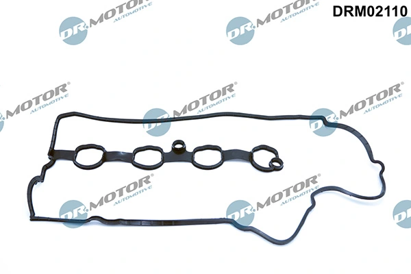 DRM02110 Lizarte