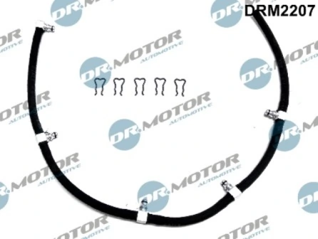 DRM2207 Lizarte