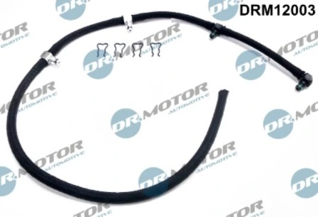 DRM12003 Lizarte