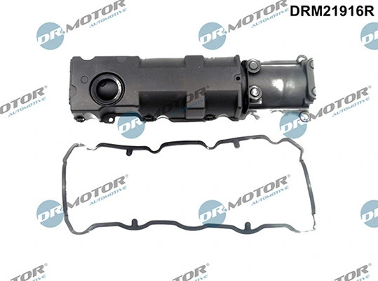 DRM21916R Lizarte