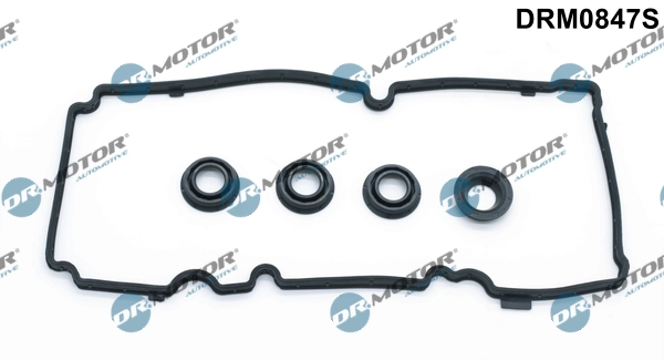 DRM0847S Lizarte
