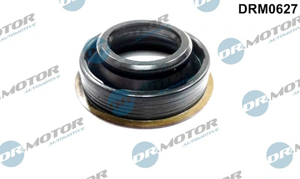 DRM0627 Lizarte