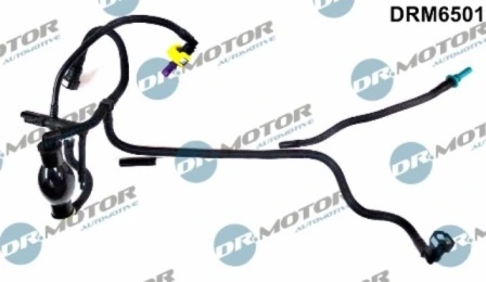 DRM6501 Lizarte