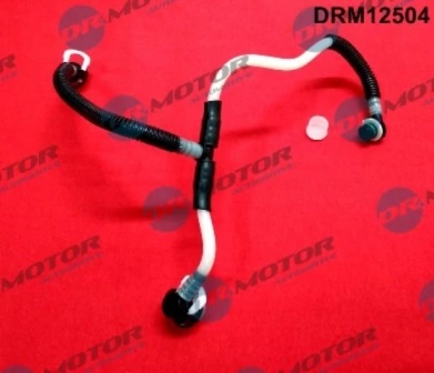 DRM12504 Lizarte