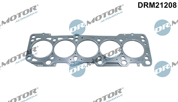 DRM21208 Lizarte
