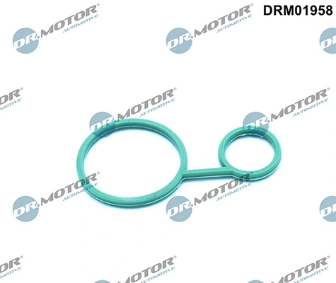 DRM01958 Lizarte