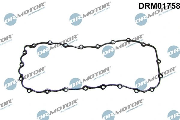 DRM01758 Lizarte