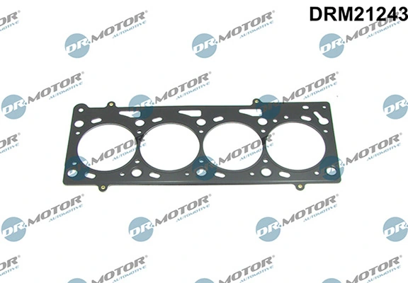 DRM21243 Lizarte