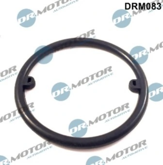 DRM083 Lizarte