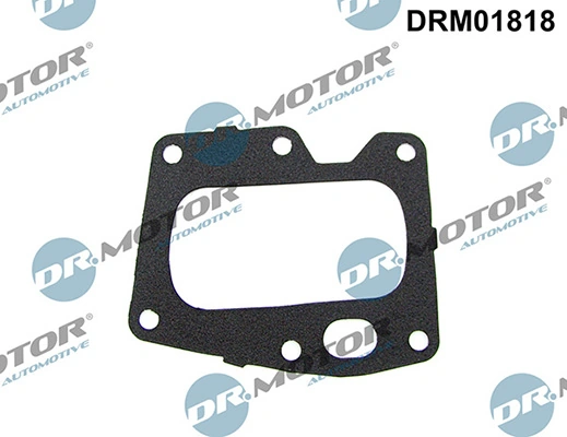 DRM01818 Lizarte