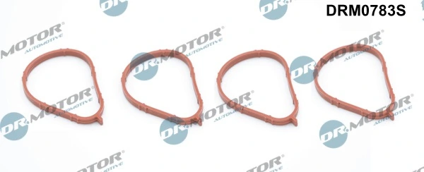 DRM0783S Lizarte