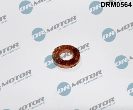 DRM0564 Lizarte