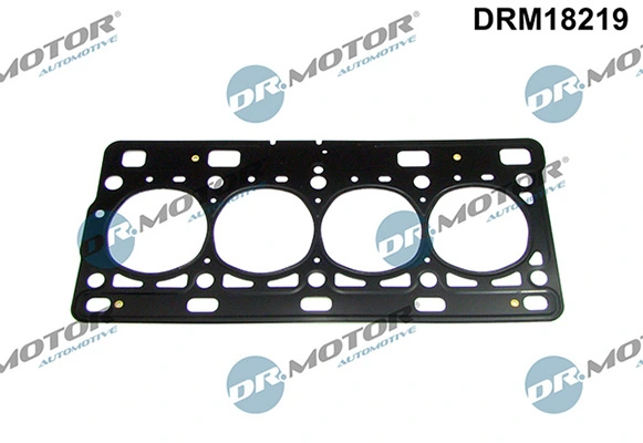 DRM18219 Lizarte