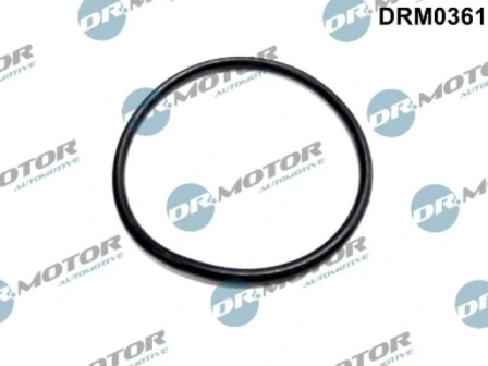 DRM0361 Lizarte