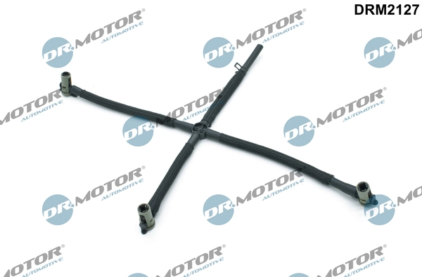 DRM2127 Lizarte