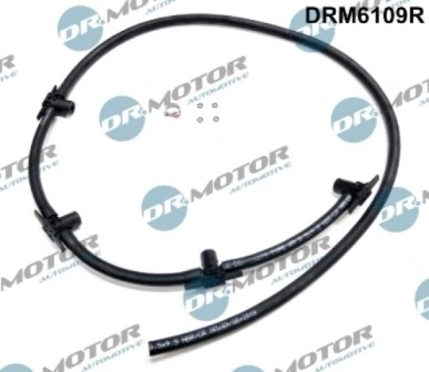 DRM6109R Lizarte