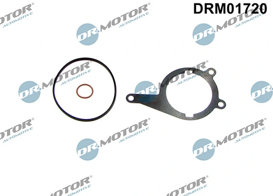 DRM01720 Lizarte