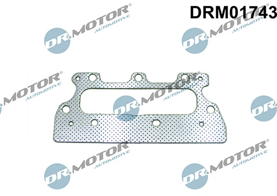 DRM01743 Lizarte