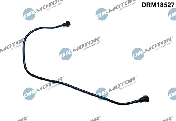 DRM18527 Lizarte