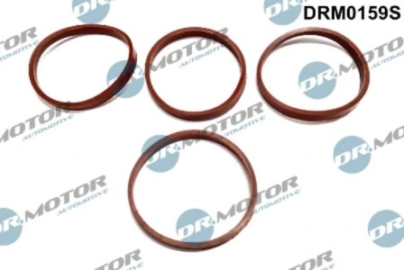 DRM0159S Lizarte