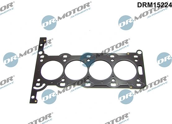 DRM15224 Lizarte