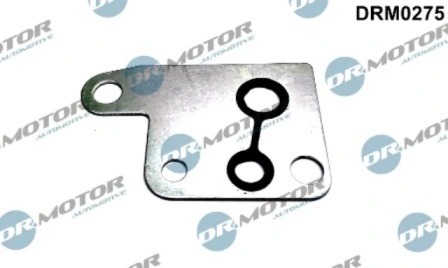 DRM0275 Lizarte