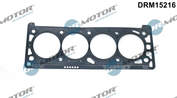 DRM15216 Lizarte