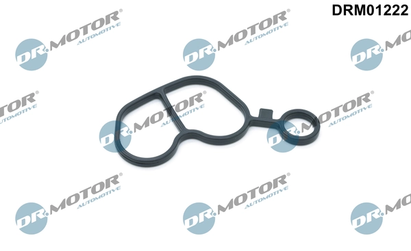 DRM01222 Lizarte