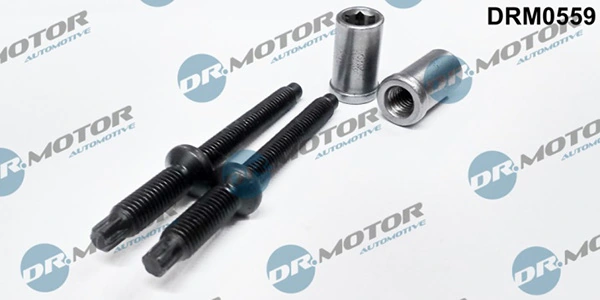 DRM0559 Lizarte