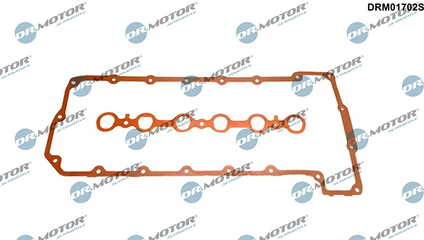 DRM01702S Lizarte