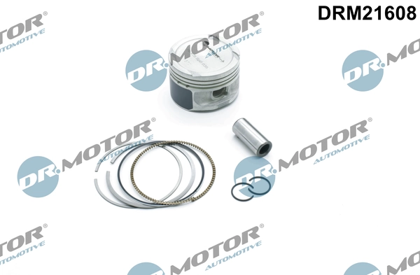 DRM21608 Lizarte