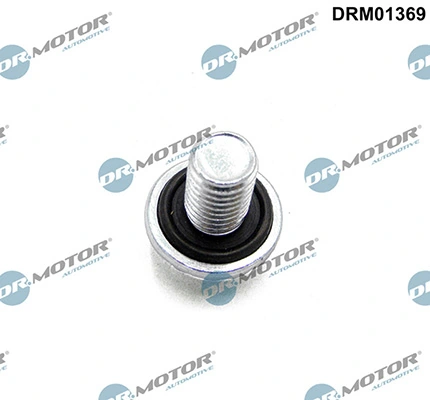 DRM01369 Lizarte