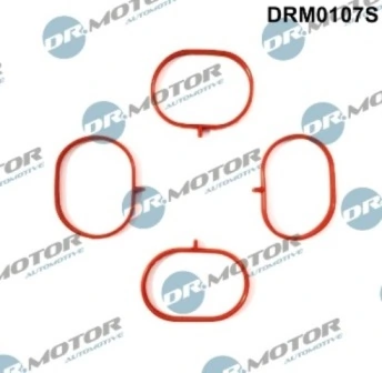 DRM0107S Lizarte