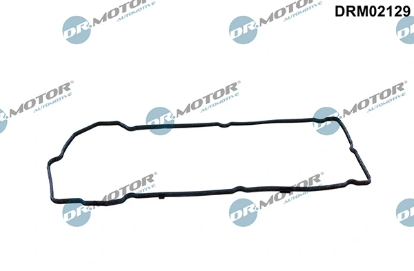 DRM02129 Lizarte