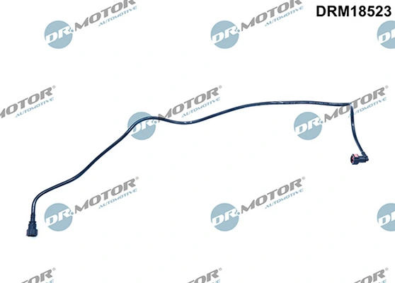 DRM18523 Lizarte