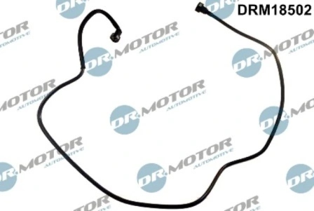 DRM18502 Lizarte
