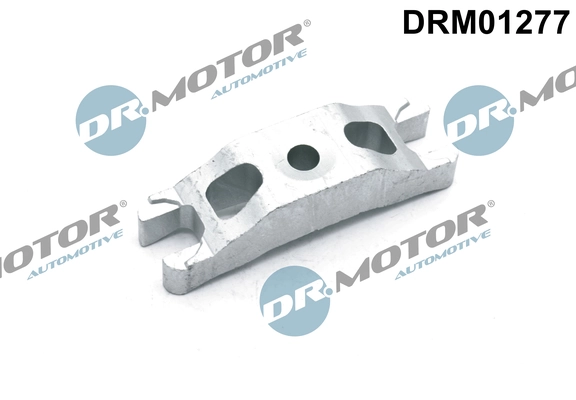 DRM01277 Lizarte