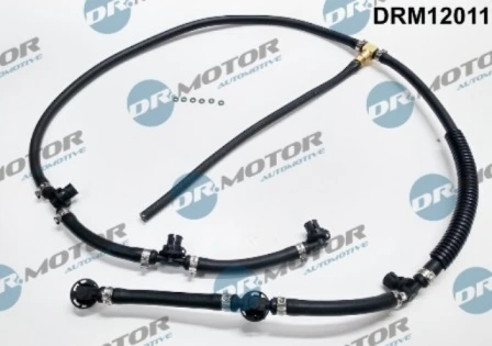 DRM12011 Lizarte