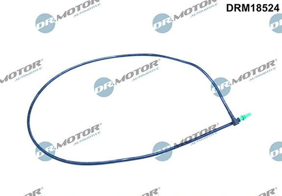DRM18524 Lizarte