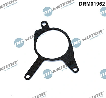 DRM01962 Lizarte