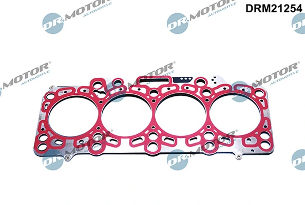 DRM21254 Lizarte