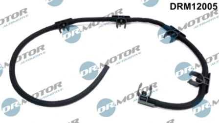 DRM12005 Lizarte